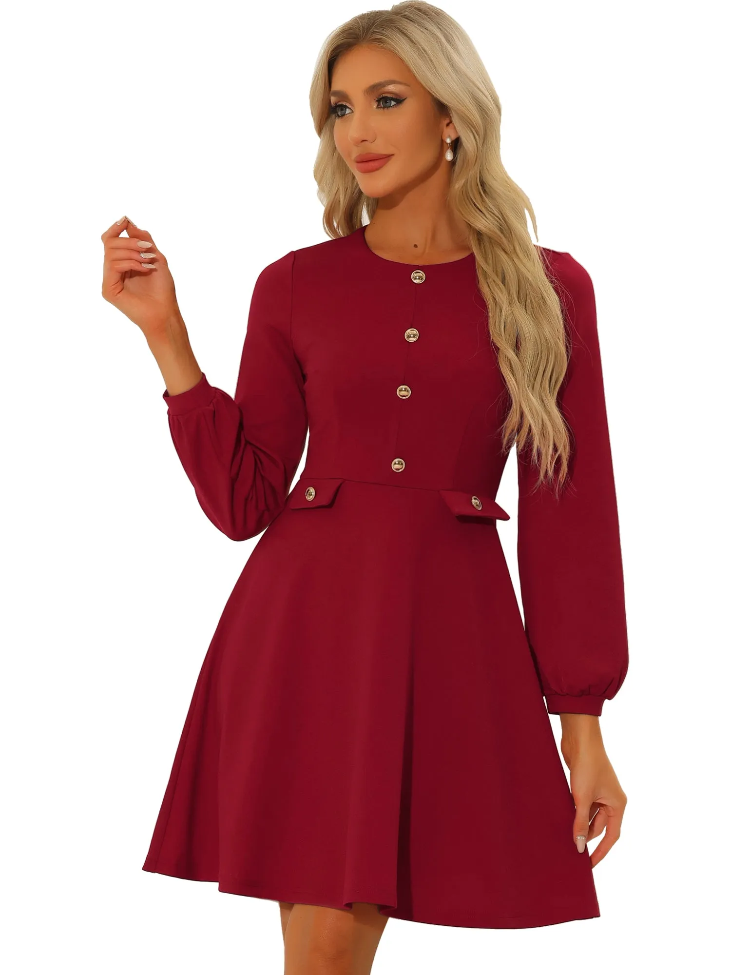 Crew Neck Office Contrast Button Decor Long Sleeve Dress